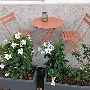 Le Jardin Tournon-sur-Rhone
